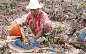 Demam Emas di Lombok Tengah, Ratusan Warga Padati Sungai Desa Serage