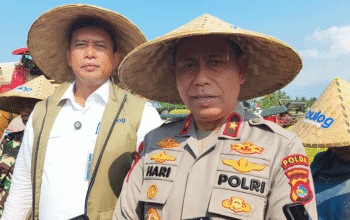 Polda NTB Tegaskan Stok Beras–Jagung Aman, Harga Dipantau Ketat