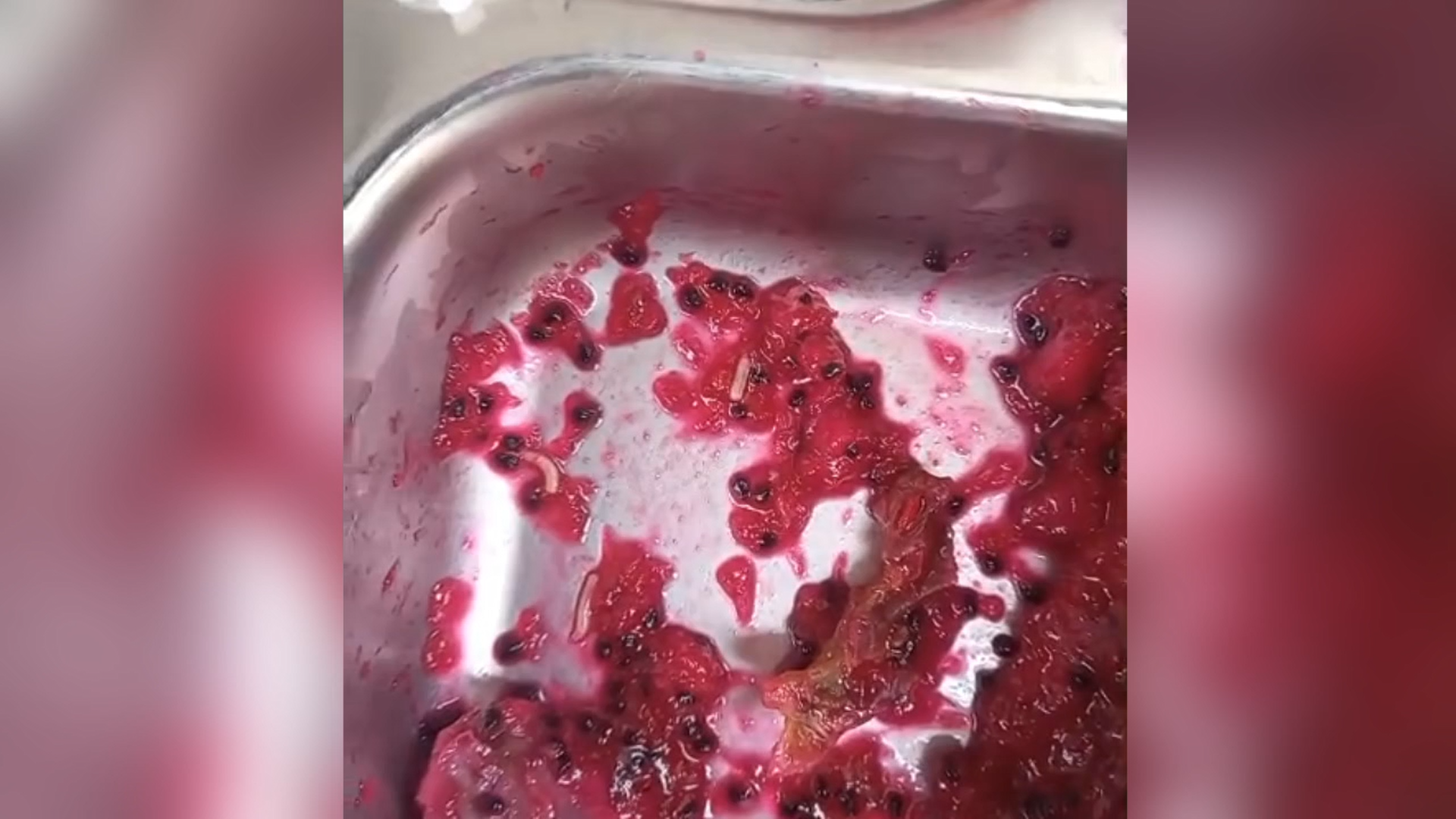 Heboh Video Ulat di Makanan Siswa SDN 1 Labulia, Ini Klarifikasi SPPG