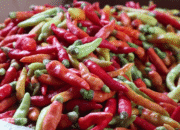 Jelang Ramadan, BI NTB Soroti Cabai Rawit dan Ayam sebagai Pemicu Inflasi