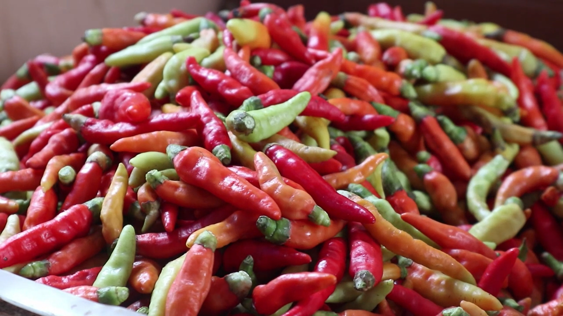 Jelang Ramadan, BI NTB Soroti Cabai Rawit dan Ayam sebagai Pemicu Inflasi