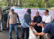 Harga Cabai NTB Dikawal Ketat, 1,1 Ton Didatangkan Lewat BIZAM