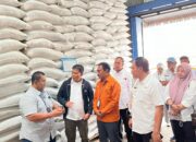 Stok Beras NTB Melimpah, Bulog Kirim 6.073 Ton ke Bali dan NTT