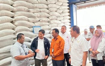 Stok Beras NTB Melimpah, Bulog Kirim 6.073 Ton ke Bali dan NTT