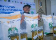BULOG NTB Genjot Bantuan Pangan Pasca Lebaran, 306 Warga Mataram Terima Beras dan Minyak