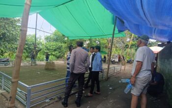 Polisi Bubarkan Dugaan Judi Sabung Ayam di Jagaraga, Warga Sempat Kabur