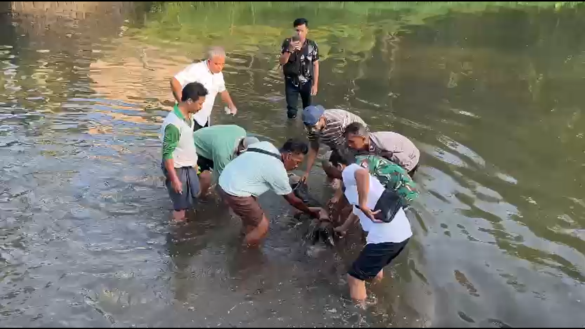 Penemuan Mayat di Sungai Remeneng Narmada Gegerkan Warga, Korban Tanpa Identitas