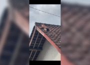 Balita 2 Tahun di Lombok Tengah Viral, Nekat Panjat Atap hingga Terjebak 1 Jam