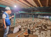 Tarif Listrik April-Juni 2026 Tak Naik, Pemerintah Jaga Daya Beli dan Industri