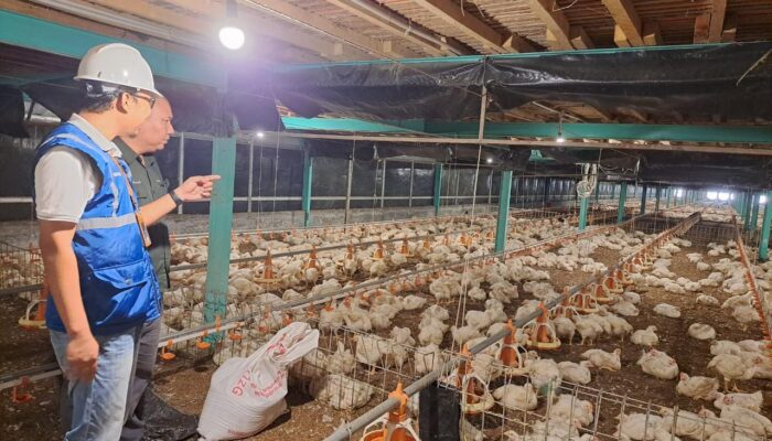 Tarif Listrik April-Juni 2026 Tak Naik, Pemerintah Jaga Daya Beli dan Industri