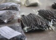 Vanili Organik Lombok Tak Terdampak Krisis, Amerika Justru Minta Lebih