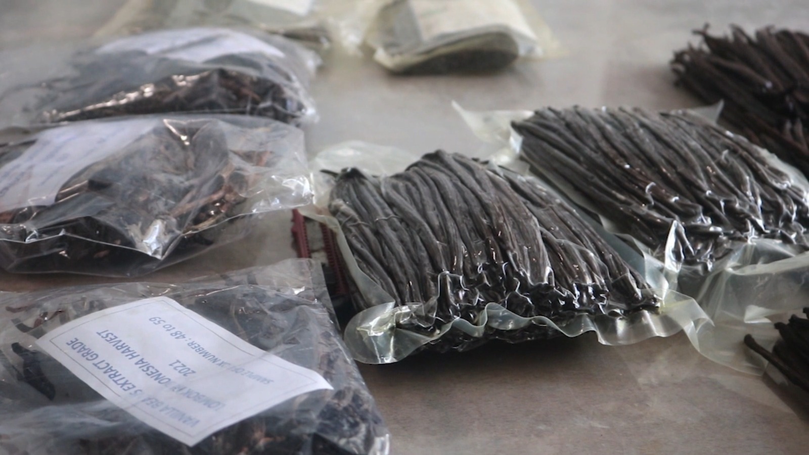 Vanili Organik Lombok Tak Terdampak Krisis, Amerika Justru Minta Lebih