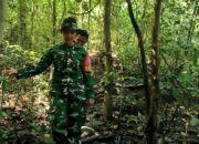Babinsa Susuri Hutan, Buka Akses Wisata Tersembunyi Ampan Tepong di Lombok Barat