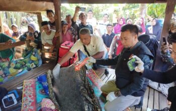 Bocah 6 Tahun Ditemukan Tewas di Saluran Irigasi Narmada, Warga Sempat Lakukan Pencarian