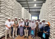 Bulog NTB Bekali Siswa SMK Pertanian Pemahaman Rantai Pangan dari Hulu ke Hilir