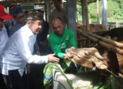 BAZNAS RI Tinjau Program Sapi di Lombok Tengah, Peternak Mulai Rasakan Dampak Ekonomi