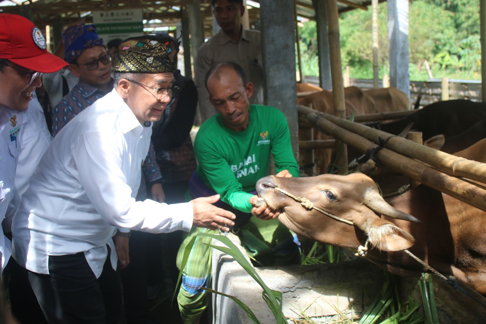 BAZNAS RI Tinjau Program Sapi di Lombok Tengah, Peternak Mulai Rasakan Dampak Ekonomi