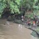 Remaja 13 Tahun Hanyut di Sungai Kuripan, Tim SAR Lakukan Pencarian