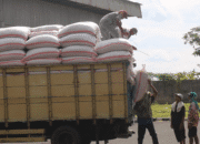 Bulog NTB Serap 70 Ribu Ton Panen Petani, Baru 29 Persen dari Target 2026