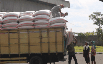 Bulog NTB Serap 70 Ribu Ton Panen Petani, Baru 29 Persen dari Target 2026