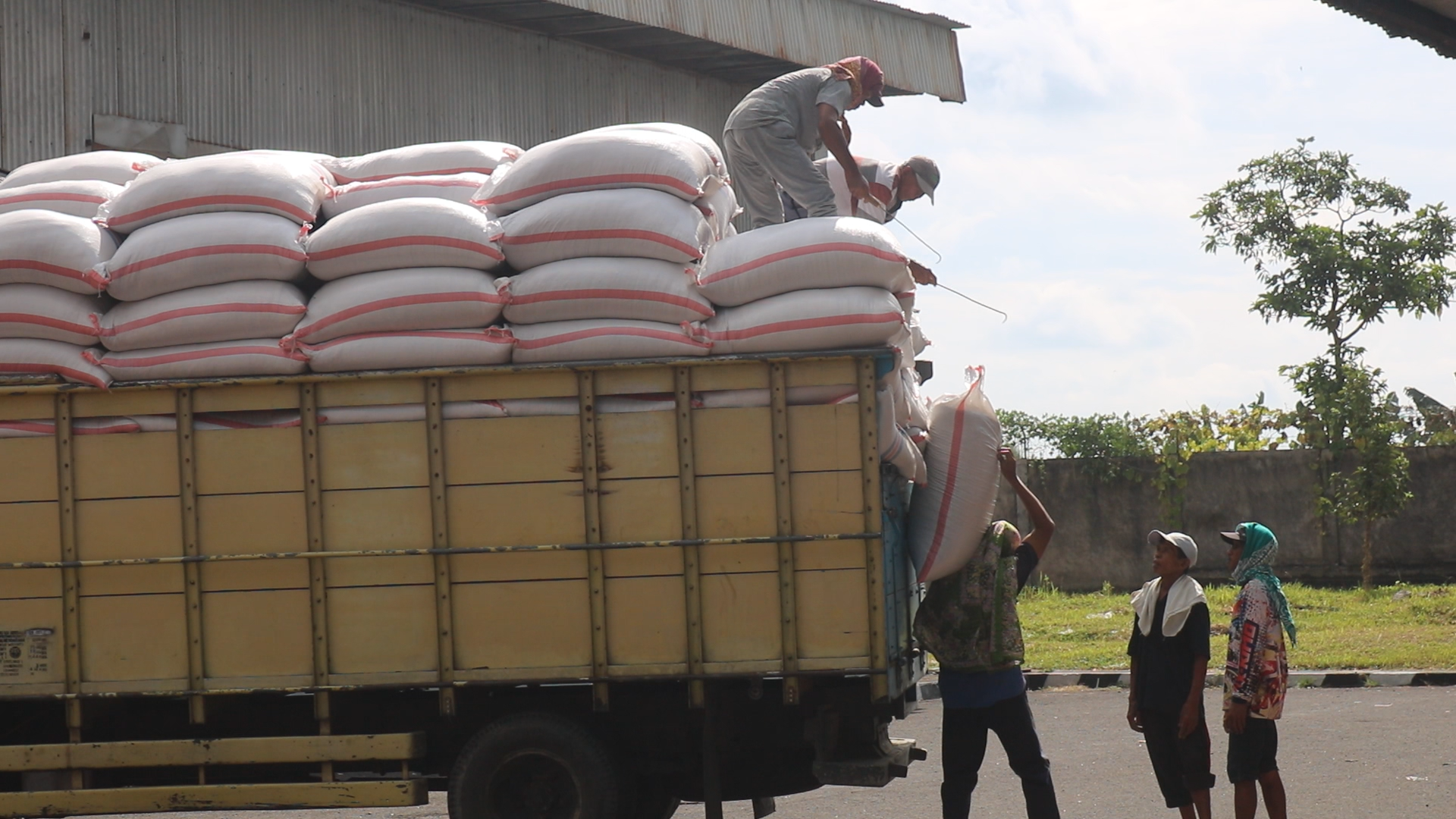 Bulog NTB Serap 70 Ribu Ton Panen Petani, Baru 29 Persen dari Target 2026