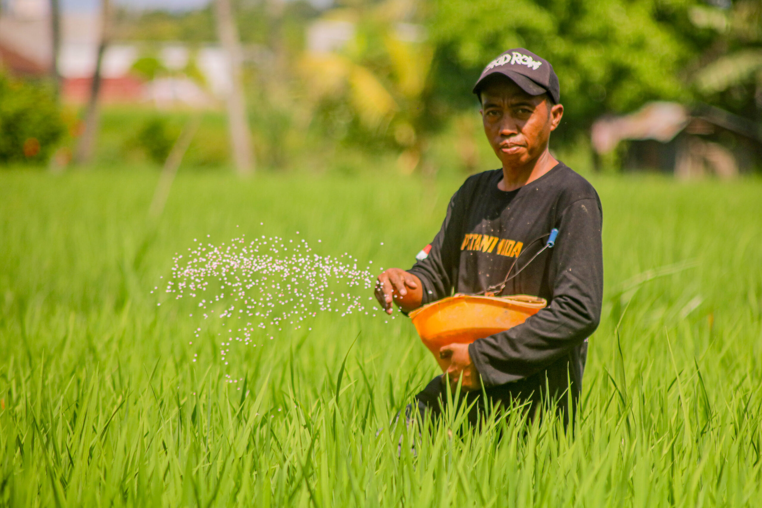 Petani Lombok Kini Tebus Pupuk Subsidi Cukup Pakai KTP