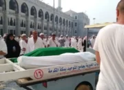 12 Jemaah Haji Indonesia Wafat, Cuaca Arab Saudi Tembus 44 Derajat