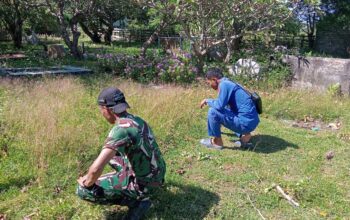 Kuburan Disapu, Pantai Dipoles: Calabai Mendadak Kinclong!