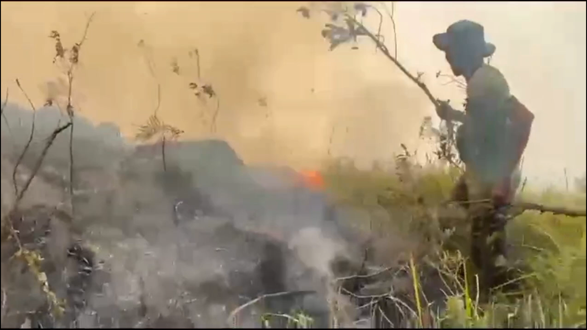 Karhutla Bukit Sempana Sembalun Hanguskan 282 Hektar