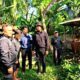 Tetangga Curi Sapi Hamil Rp12,5 Juta, Modusnya Pura-pura Cari Burung