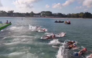 Indonesia Nirmedali di Asian Open Water Swimming Championship 2026, China Kuasai Nomor 10 Km