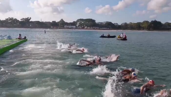 Indonesia Nirmedali di Asian Open Water Swimming Championship 2026, China Kuasai Nomor 10 Km