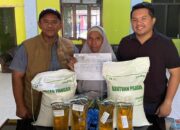 Bulog NTB Salurkan 15.390 Ton Beras, Distribusi Bantuan Pangan Tembus 89 Persen