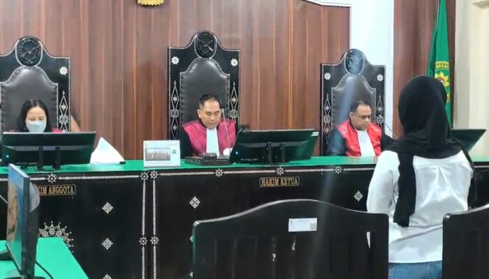 Brigadir Rizka Divonis 10 Tahun Penjara, Hakim Utamakan Masa Depan Anak
