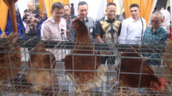 OJK Gaspol Entaskan Kemiskinan Ekstrem NTB, 100 KK Jadi Pilot Project Desa Berdaya