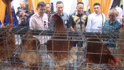 OJK Gaspol Entaskan Kemiskinan Ekstrem NTB, 100 KK Jadi Pilot Project Desa Berdaya