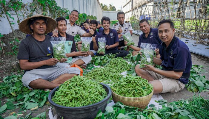 400 Kg Edamame Lapas Lombok Barat Ludes Terjual, Target Panen Capai 4 Ton