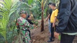 Bayi Laki-laki Ditemukan Hidup di Bawah Pohon Pisang, Polisi Buru Pelaku