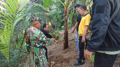 Bayi Laki-laki Ditemukan Hidup di Bawah Pohon Pisang, Polisi Buru Pelaku