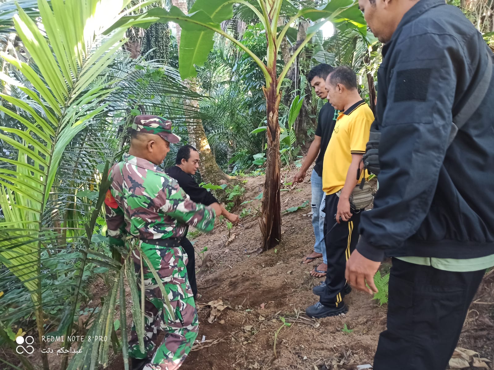 Bayi Laki-laki Ditemukan Hidup di Bawah Pohon Pisang, Polisi Buru Pelaku