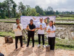 ITDC Gandeng Owl Tower Bali, Burung Hantu Tyto Alba Jadi Senjata Petani Lawan Hama Tikus