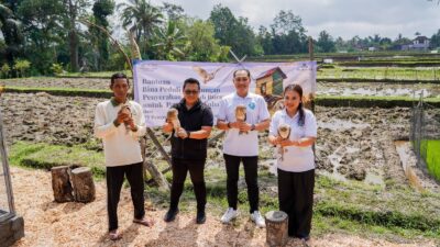 ITDC Gandeng Owl Tower Bali, Burung Hantu Tyto Alba Jadi Senjata Petani Lawan Hama Tikus
