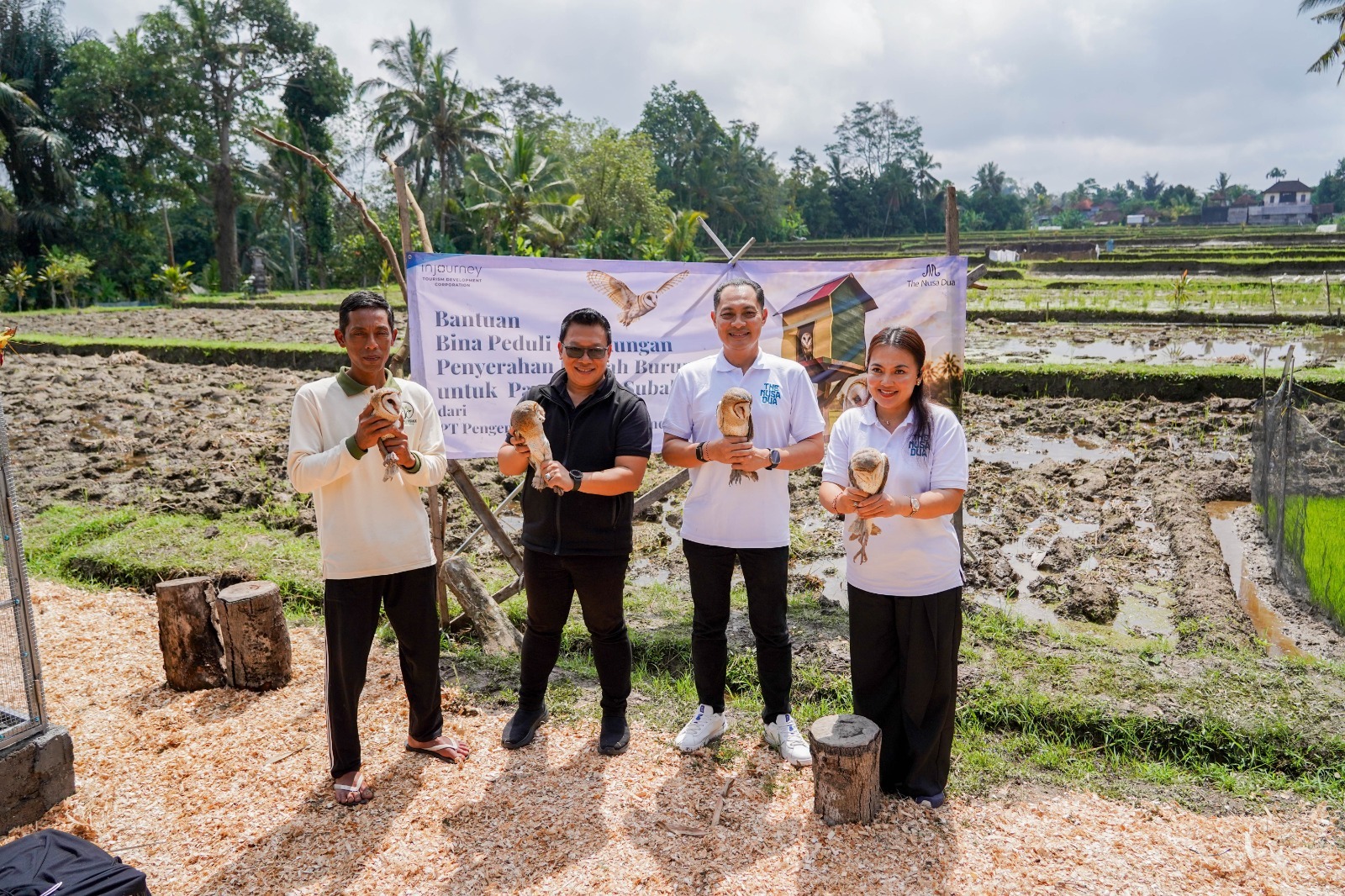 ITDC Gandeng Owl Tower Bali, Burung Hantu Tyto Alba Jadi Senjata Petani Lawan Hama Tikus