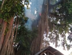 Api Lahap Pohon Beringin di Tamansari, Penyebab Masih Misterius