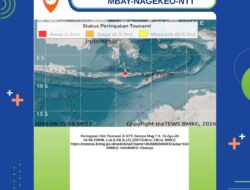 Gempa M7,0 Guncang NTT, BMKG Keluarkan Peringatan Tsunami