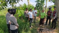 Heboh! Perempuan Ditemukan Tak Bernyawa di Sawah Perbatasan Narmada