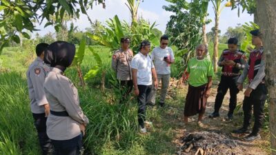 Heboh! Perempuan Ditemukan Tak Bernyawa di Sawah Perbatasan Narmada