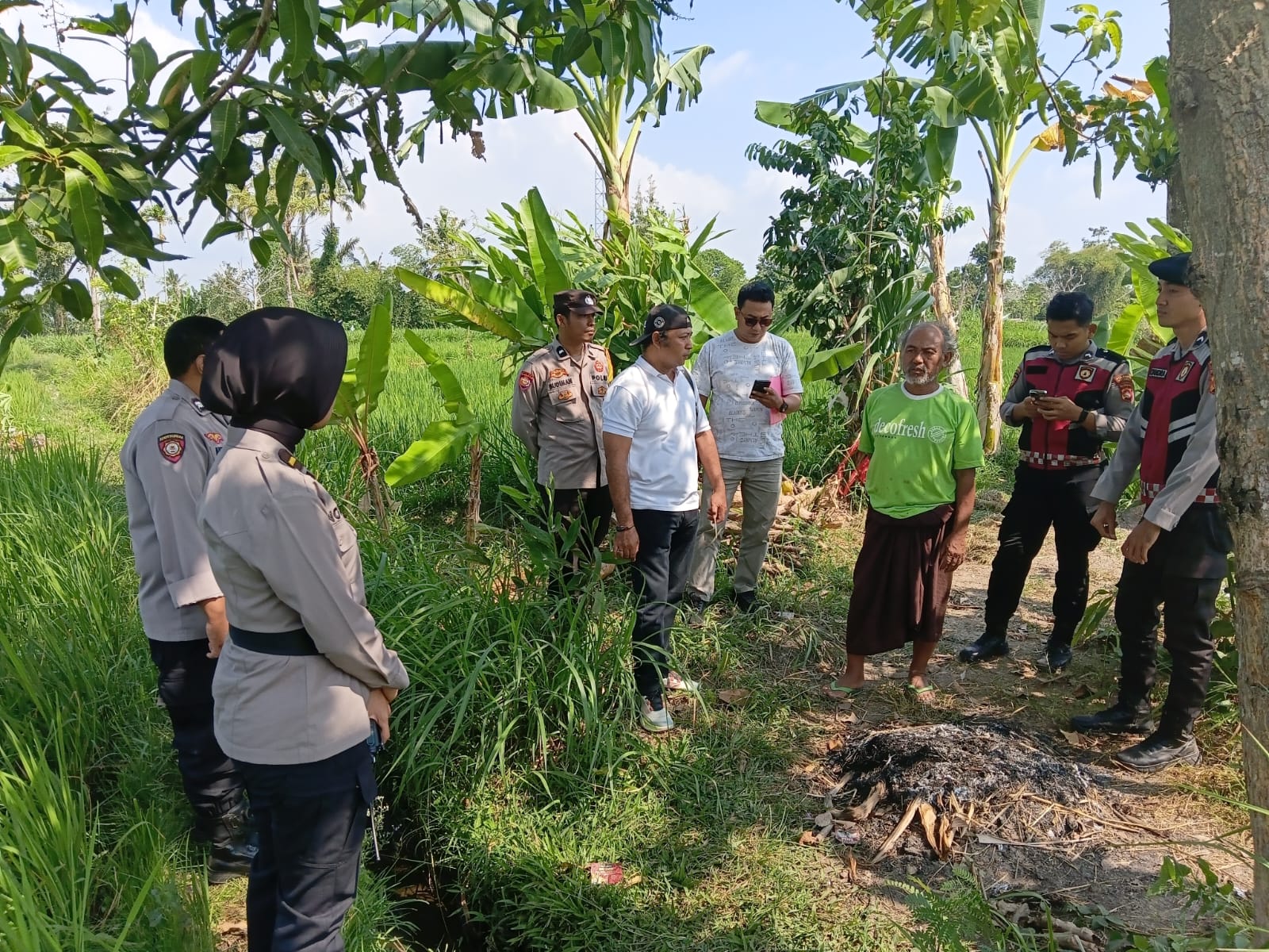 Heboh! Perempuan Ditemukan Tak Bernyawa di Sawah Perbatasan Narmada