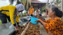Tak Lagi Terbengkalai, Lahan PEKKA Kini Hasilkan Sayur dan Uang