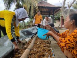 Tak Lagi Terbengkalai, Lahan PEKKA Kini Hasilkan Sayur dan Uang
